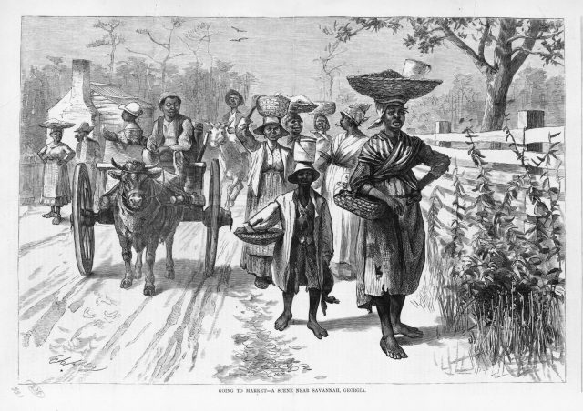 Going to Market- A Scene Near Savannah, Georgia. Harper’s Weekly, 1875 Courtesy of the Library of Congress, Miscellaneous Items in Hight Demand collection, Prints and Photographs Division, LC-USZ62-102153