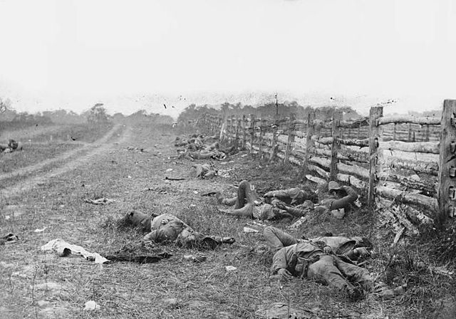 Black and white image showing dead Confederate soldiers by a fence at the Hagerstown Turnpike after the Battle of Antietam 