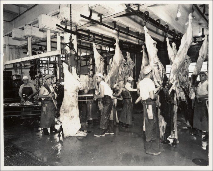 Black and white photograph of the Austin Abattoir's slaughter room from the Bureau of Identification 