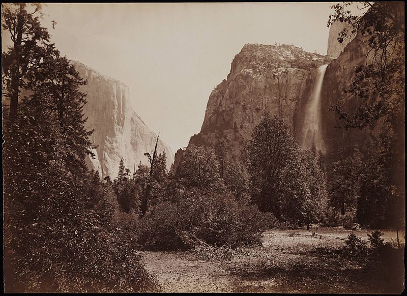 "View of Tutocanula Pass, Yosemite, California," by photographer Carleton E. Watkins, 1878-1881 (Beinecke Rare Book & Manuscript Library, Yale University)
