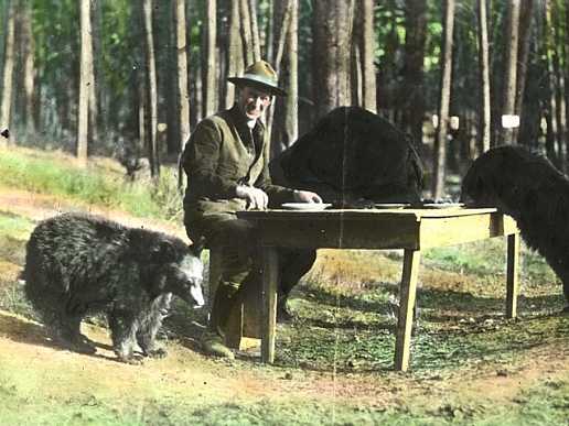 Horace M. Albright, Superintendent of Yellowstone National Park, with bears from the park, 1922 (National Park Service)