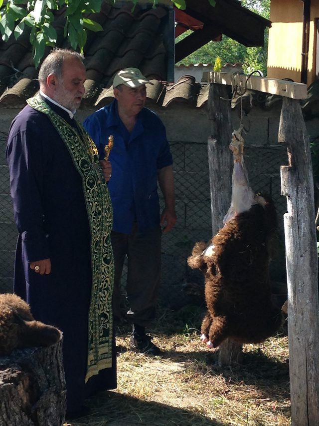 2The kurban or sacrificial ram hangs from a hook, while being blessed by an Orthodox priest. The ram’s head is in the foreground on a chopping block. Village of Bulgari, in Southeastern Bulgaria, June 2015).