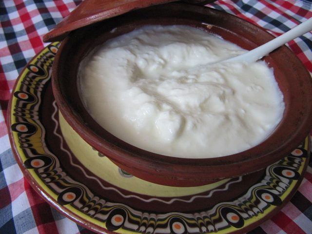 1024px-bulgarian_yogurt