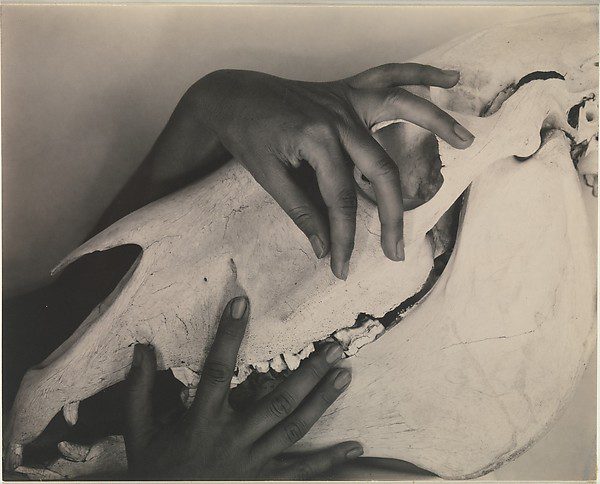Georgia O'Keeffe—Hands and Horse Skull by Alfred Stieglitz