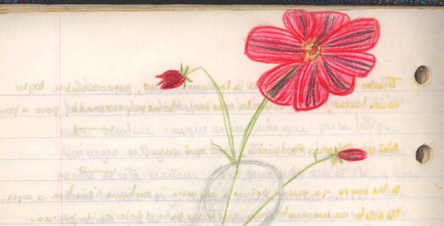 A close-up of a red flower on one of the pages of María Luisa Puga's personal notebook