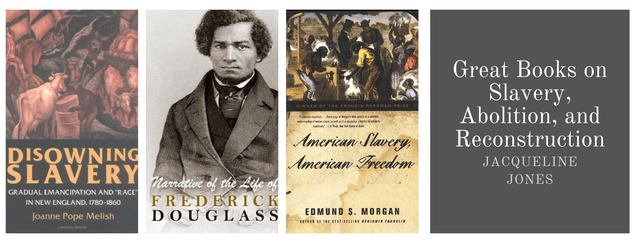 Slavery and freedom: the american paradox analysis picture