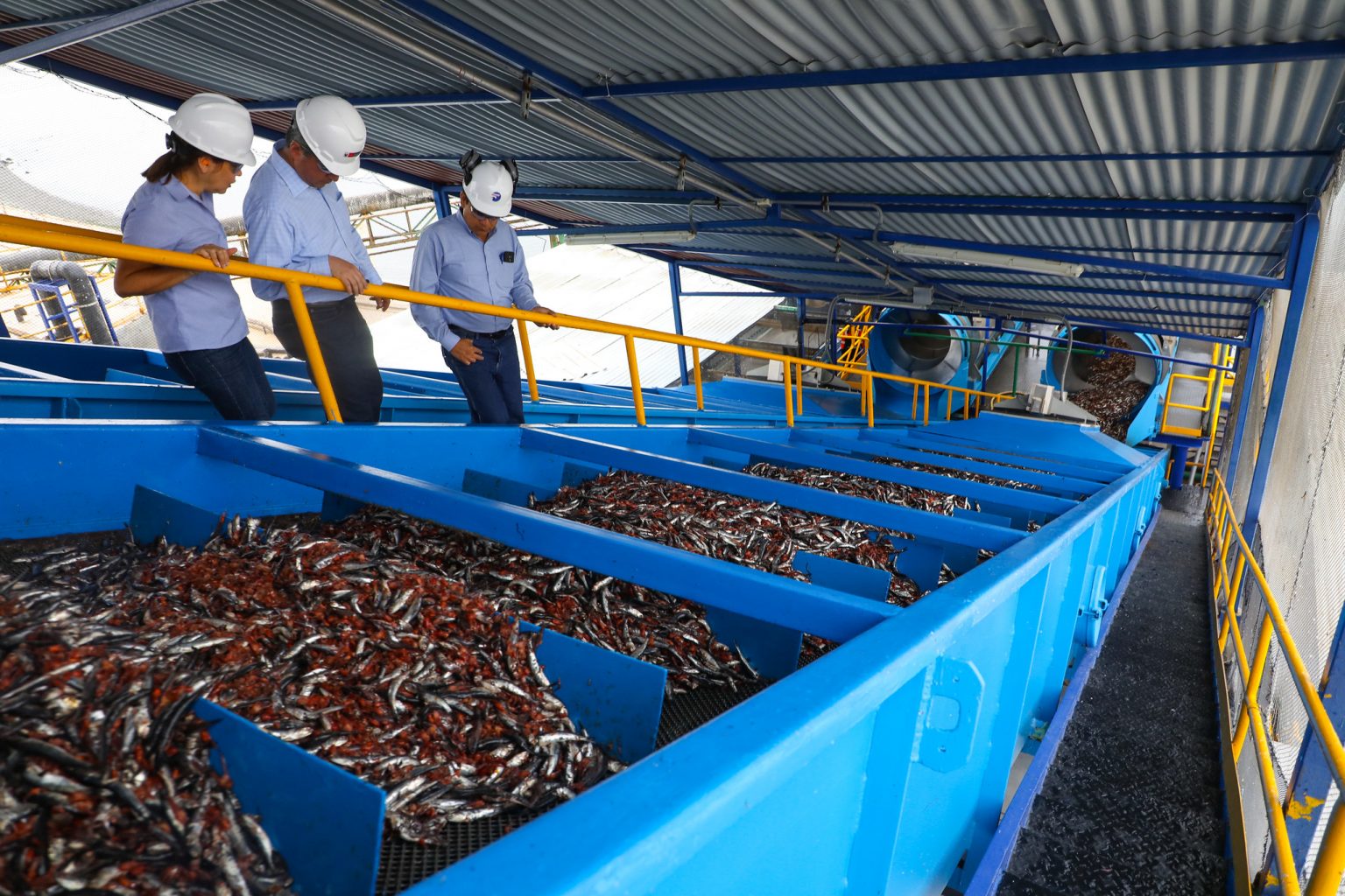 Review of The Fishmeal Revolution The Industrialization of the