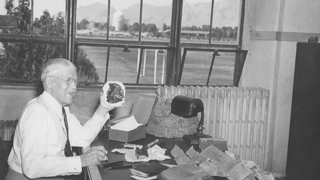 Andrew Ellicott Douglass working at his desk in the Laboratory of Tree-Ring Research