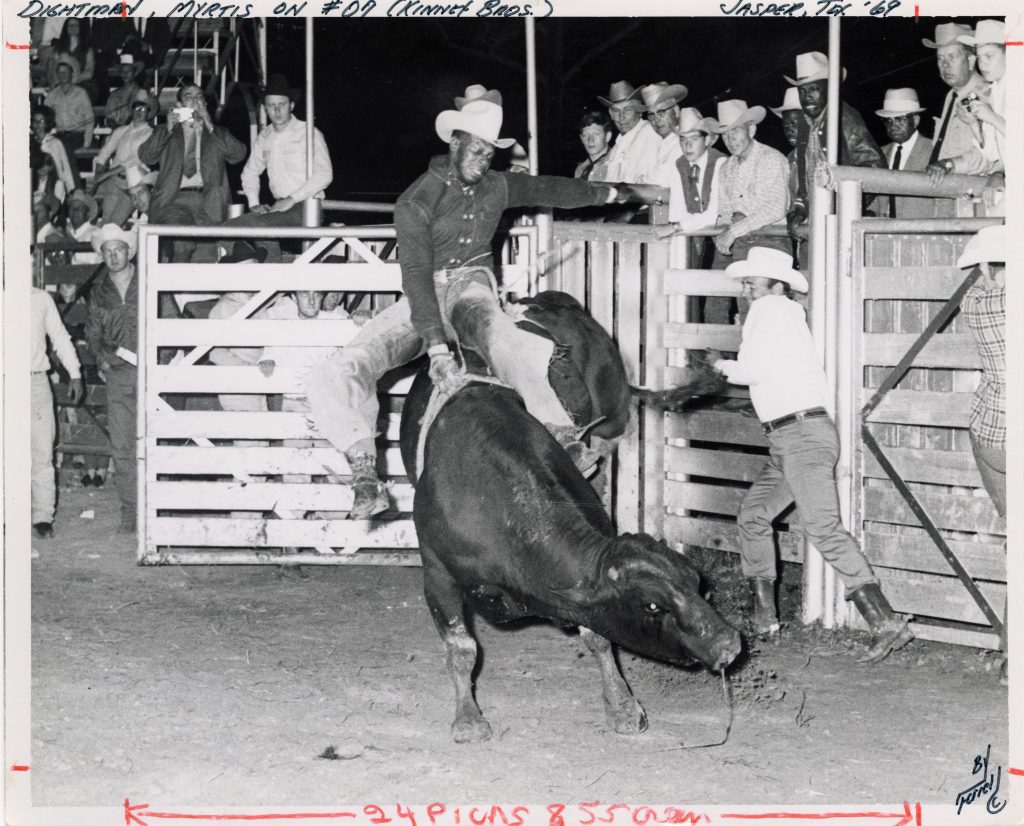 Myrtis Dightman raises his free hand high above the bull to ensure fair scores in a rodeo in Jasper, Texas