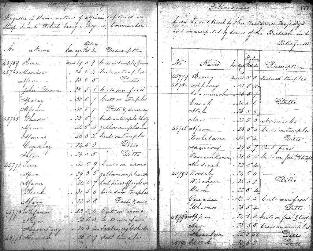 This court register is an example of the resources available through the Slave Trade database. The photo shows the first page of the court’s register of "Liberated Africans" taken from the "Felicidade The Brigantine," a ship captured at sea by British cruisers and adjudicated at a court established at Sierra Leone under international anti-slave trade treaties. The register was kept as a formal record of emancipation that helped protect the individual from subsequent re-enslavement. 