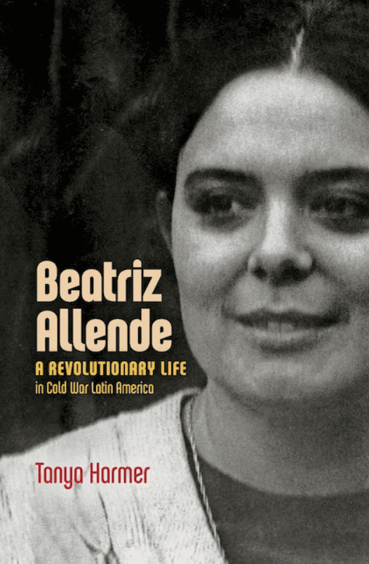 Right-Wing Women in Chile: Feminine Power and the Struggle Against Allende,  1964–1973 By Margaret Power