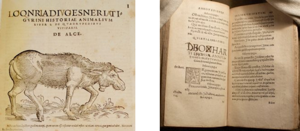 Censored pages from Conrad Gesner’s History of Animals (Zurich, 1551) and Leonhart Fuchs’s commentary on Galen (Tubingen, 1541). 