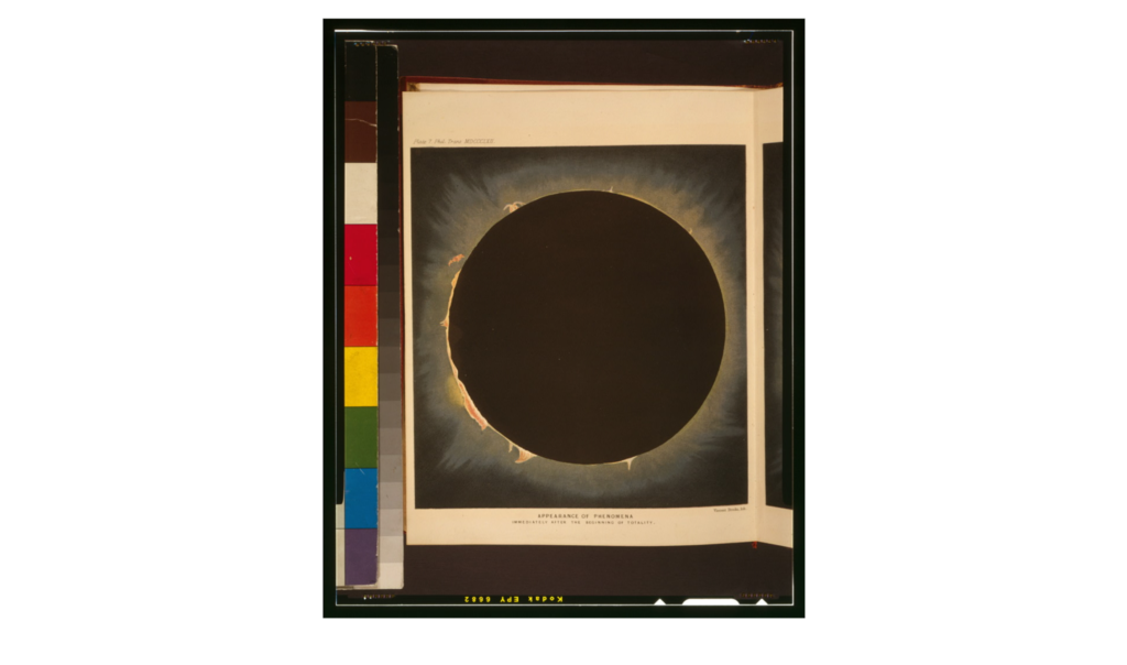 A total solar eclipse. Taken at Rivabellosa, near Miranda de Ebro in Spain, by Warren De La Rue on 7.18.1860.