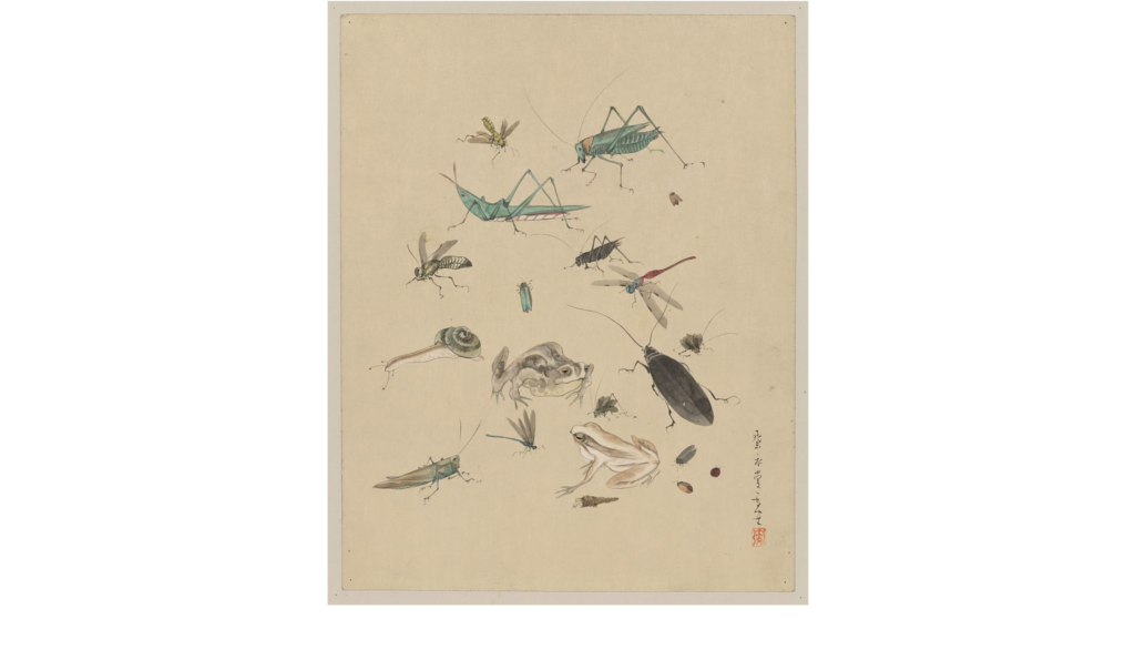 Drawings of frogs, snails, and insects from Japan, early nineteenth century. 
