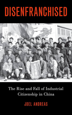 Book cover of Disenfranchised (2019)