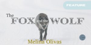 The Fox and The Wolf
