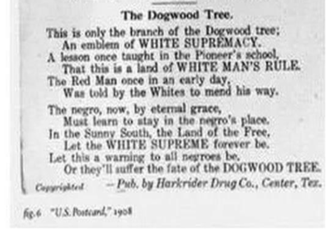 Image from 1908 that reads: The Dogwood Tree.
This is only the branch of the Dogwood tree: An emblem of WHITE SUPREMACY. A lesson once taught in the Pioneer's school. That this is a land of WHITE MAN'S RULE. The Red Man once in an early day, Was told by the Whites to mend his way. The negro, now, by eternal grace, Must learn to stay in the negro's place. In the Sunny South, the Land of the Free, Let the WHITE SUPREME, forever be. Let this a warning to all negroes be. Or they'll suffer the fate of the DOGWOOD TREE. -Pub. by Harkrider Drug Co., Center, Tex. Copyrighted. Fig. 6. "US. Postcard", 1908.